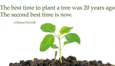 “the best time to plant a tree is 20 years ago. The second best time is now.” Sticker