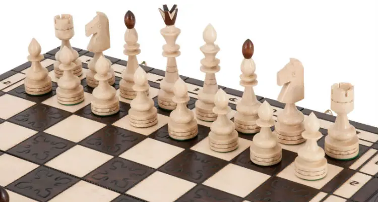 The Indian Chess Set